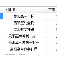 新站如何快速穩(wěn)定地提高關(guān)鍵詞的排名？揚揚案例分享